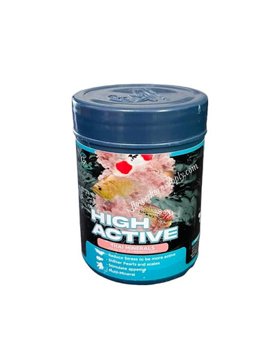 Flowerhorn fish high active - flowerhorn,